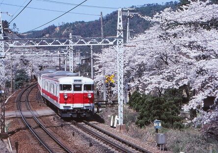 KT113128 山中渓