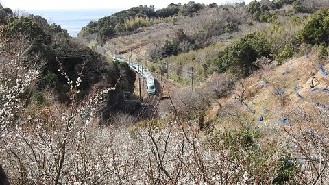 DSCN3395c 20220218 岩代~南部 2070M