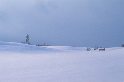 Ｈ341b　870220　富良野・麓郷