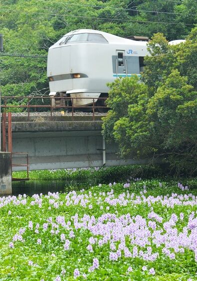 DFB_4005 20240629 芳養~南部 6068M