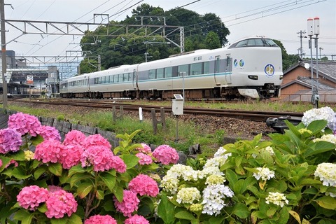 DFA_3175 20230618  湯浅　6055M