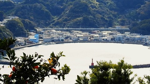 DSCN0595 - frame at 0m34s