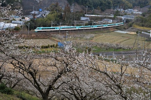 NDF_9781 20230219 稲原～和佐 67M