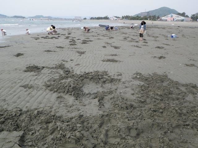 イメージ 2