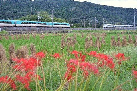 DFA_6368 67M・6080M