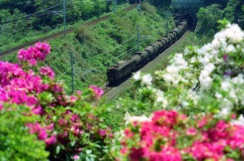 KT15186 加茂郷~冷水浦532レ