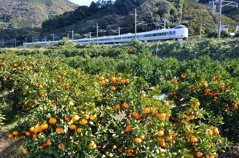 DFA_7656 20231125 紀伊由良~広川B 6055M