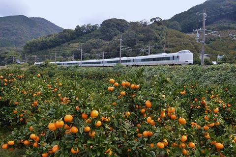 DFA_7575 20231117 紀伊由良~広川B 6055M