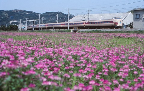 KT381063 19800400加茂郷~海南