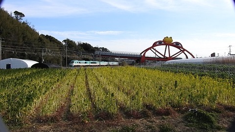 DSCN3404 20220218 印南 2063M