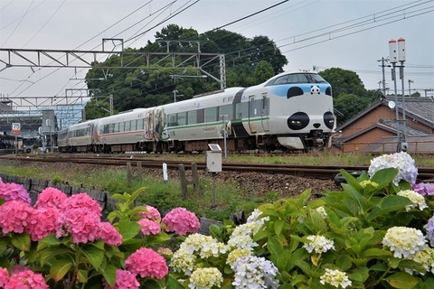 DFA_3283 20230618  湯浅　2059M