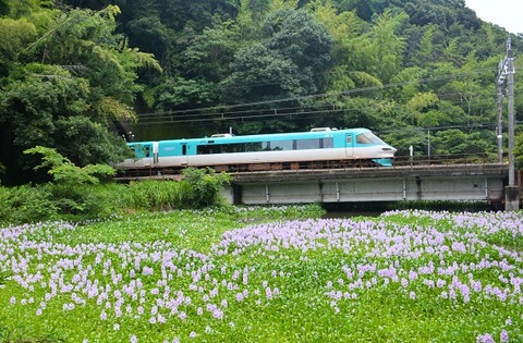 DFB_4017 20240629 芳養~南部 6055M