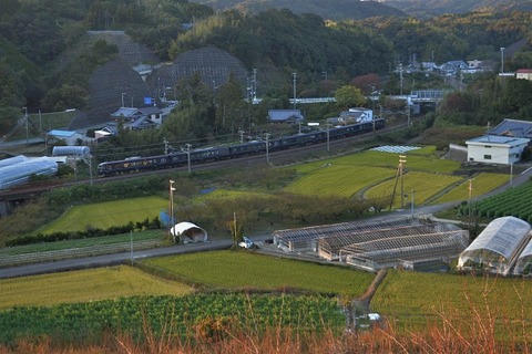 NDF_6714 20221116 稲原～和佐　8078M