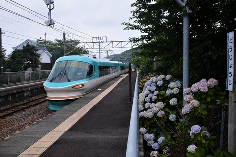 DFA_3325  20230628 道成寺 2053M