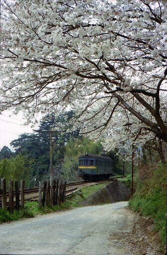 NT0030　龍光寺前　　モハ23