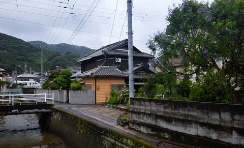 DFB_3899 20240623 下津 6068M