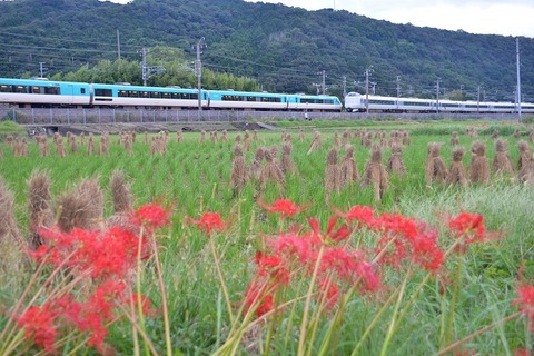 DFA_6371 267M・6080M