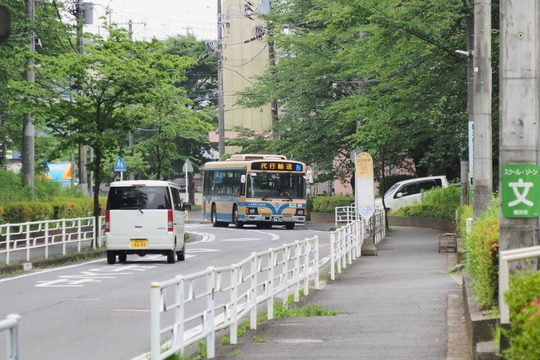 s-20190607OM-D_P6076325