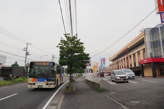 s-20190607OM-D_P6076361