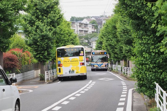 s-20190607OM-D_P6076335