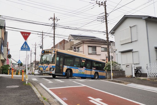 s-20190607OM-D_P6076336