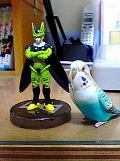 cell