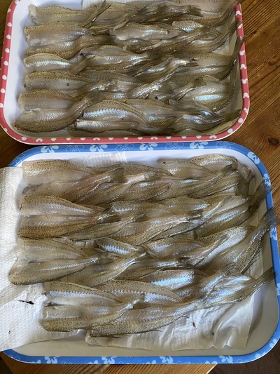 IMG_0865