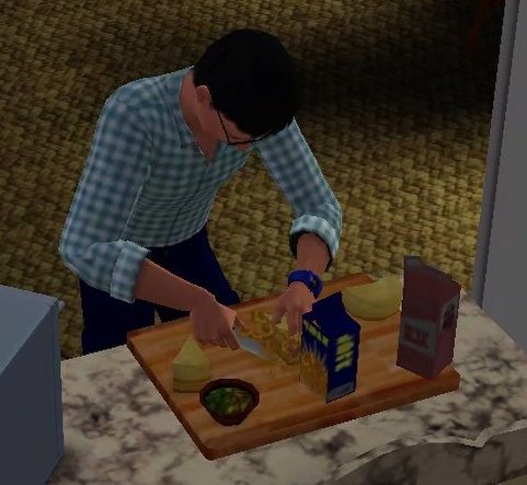 【sims3】中山司は救われたい【part5】10