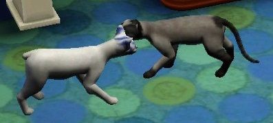 【Sims3】中山司は救われたい【part4】7