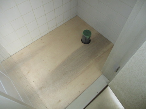 IMG_0004 (2)