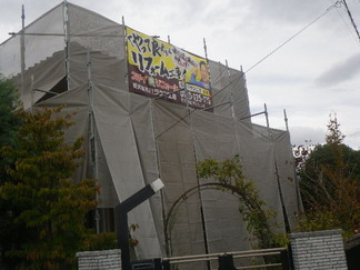 RIMG5373