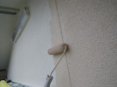 IMGP3063