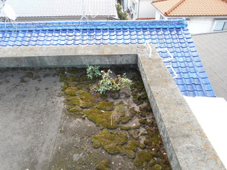 DSCN0203