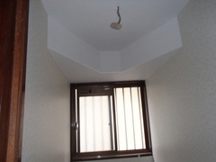 PB210750
