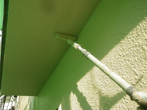 IMGP0520