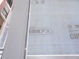 DSCN4868