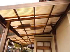DSCN0598