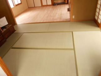 DSCN4890