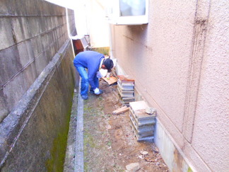 DSCN4961