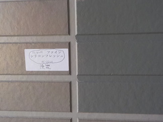 DSCN3866