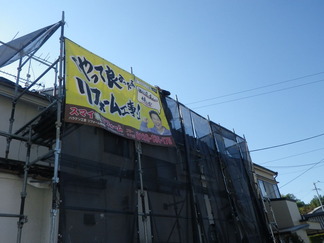 IMGP1854