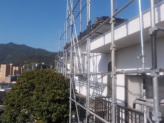 DSCN6302