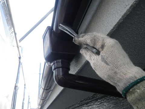 IMGP8661