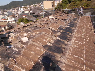 DSCN9779