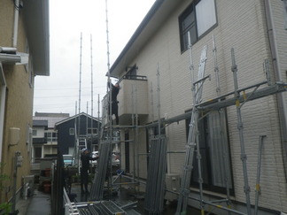 RIMG9516