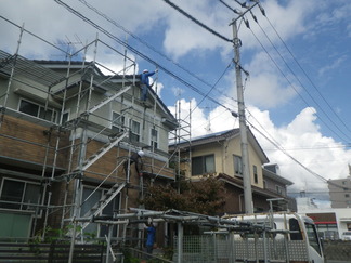 RIMG8129