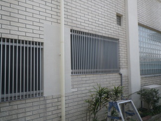RIMG9055