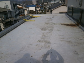 P9010004