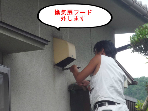 BlogPaint