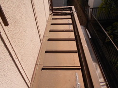 DSCN3233
